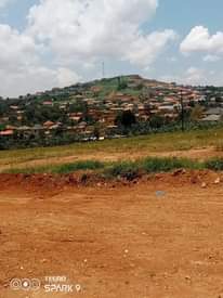 A picture of Prime plots 37m