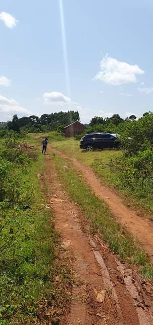 A picture of Unlock the potential of prime land at Nakiwogo Kasanje Half