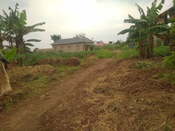 A picture of PLOTS FOR SALE