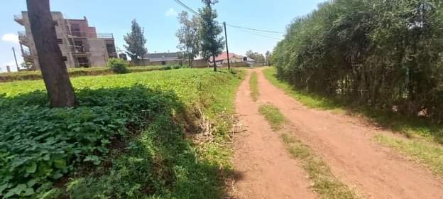 kinyinya accommodation