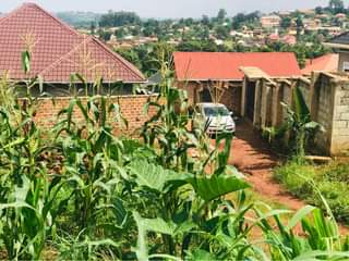 A picture of Wakiso