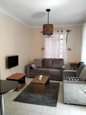 furnished apartments