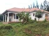 A picture of House for sale at 140m ush at Gayaza Kabanyoro.