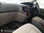 A picture of Elgrand