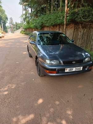 A picture of Toyota Corolla half light 13m