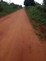 A picture of 3acres in kikyusa town council we sell from 1acre each