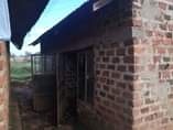 A picture of Two single rooms are up for sale 10m located at