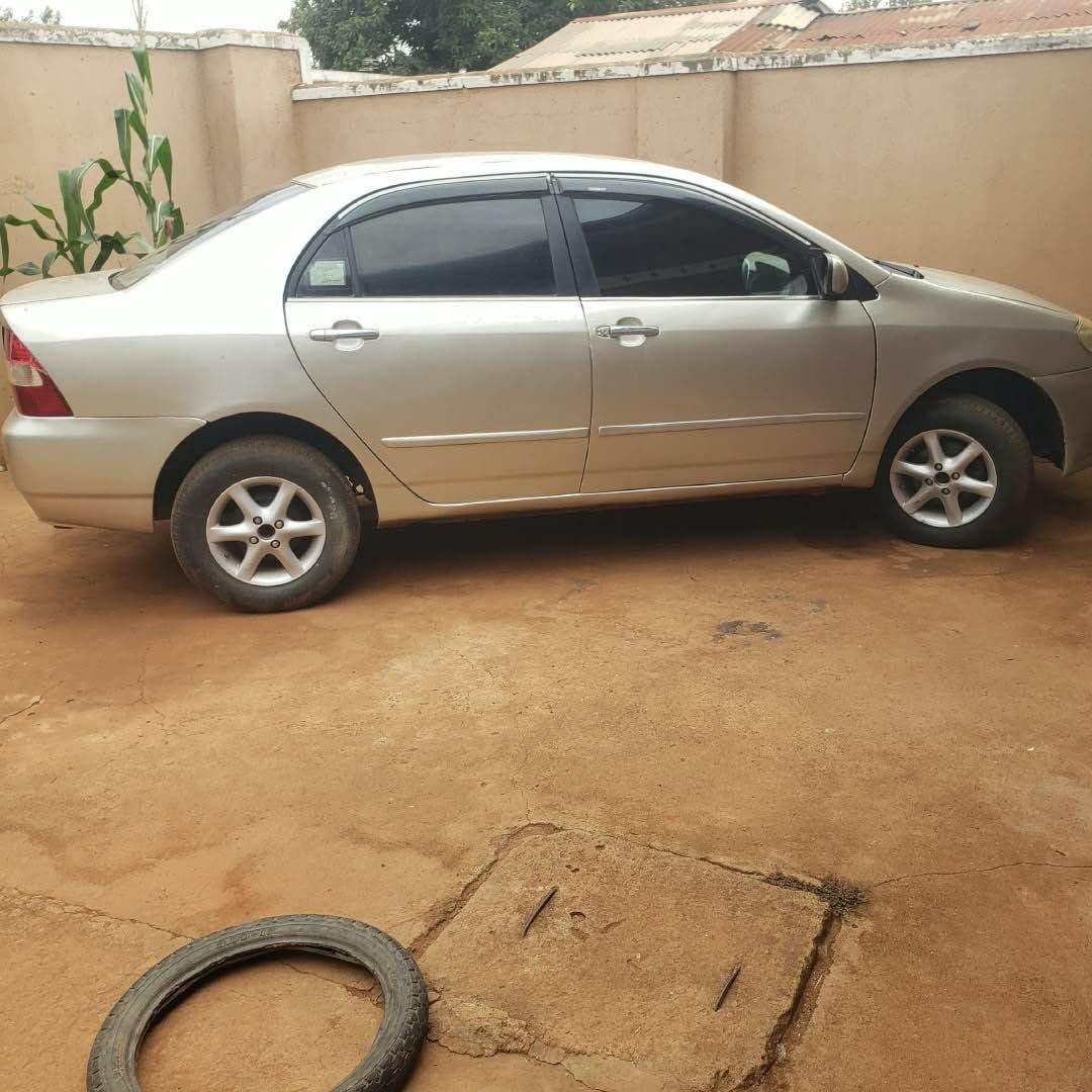 A picture of Corolla