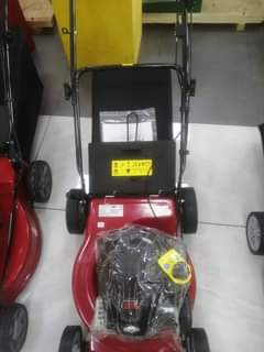 lawn