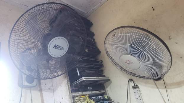 fans