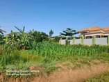 A picture of Gayaza nakwero titled plpt on quick sale