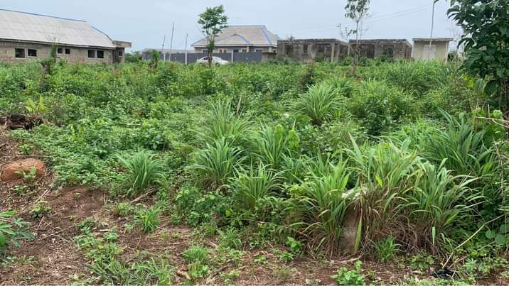 A picture of 2 Plots of land at Ifo Ibogun ogun state. Besides