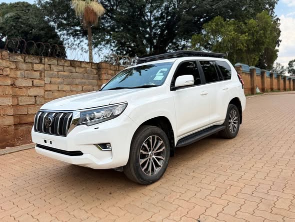A picture of Land cruser prado 2019 model