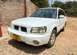 A picture of Subaru forester SG