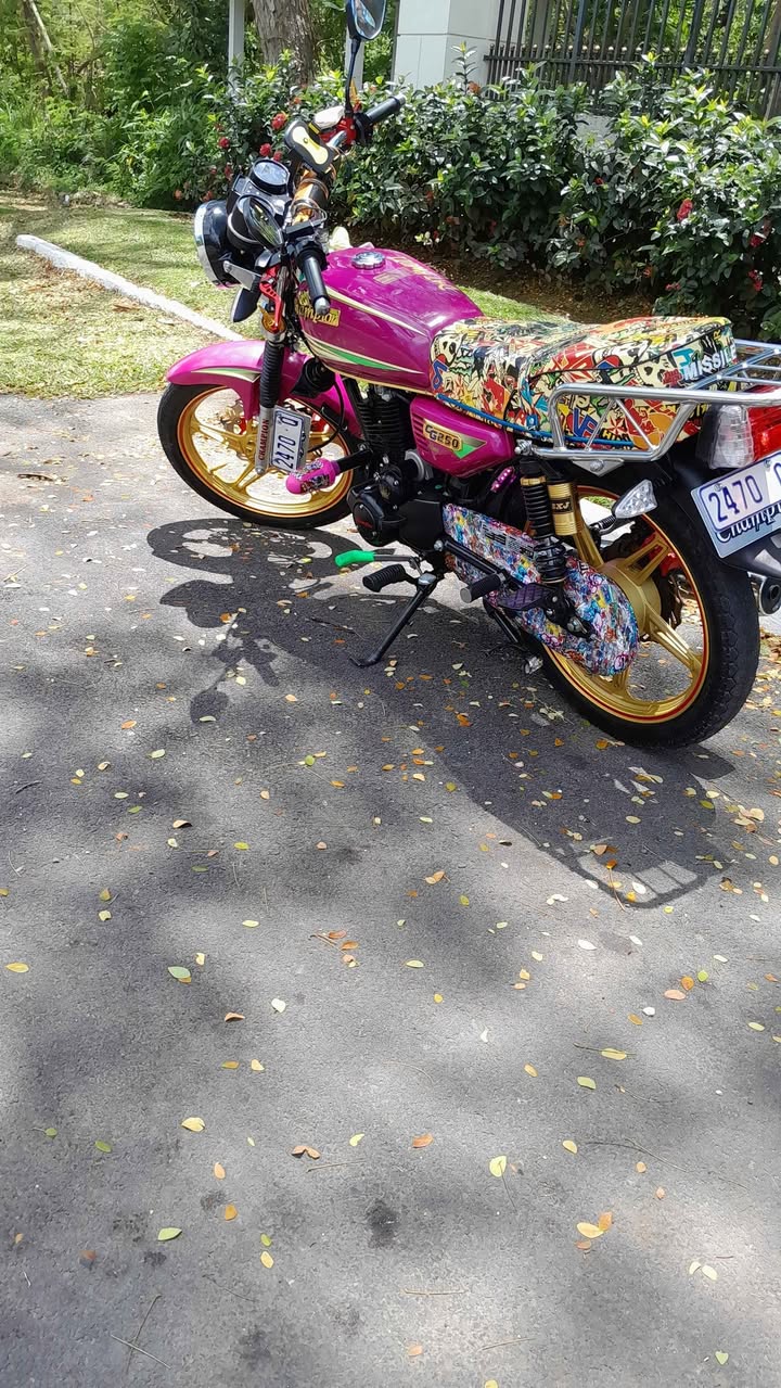 bikes