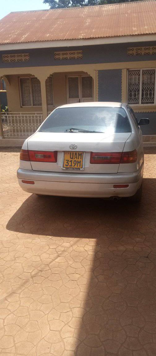 A picture of Toyota premio