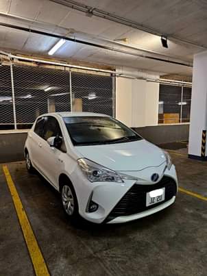 hybrid cars