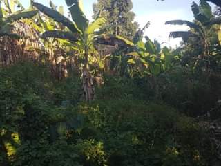 A picture of PLOTS