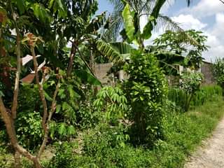 A picture of House for Sale