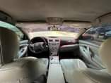 A picture of Camry murzle