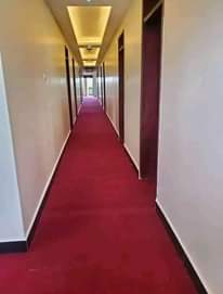 A picture of Carpet 075408702 0771452433