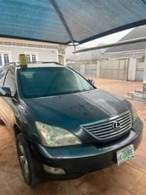 A picture of 2006 RX 330 first body