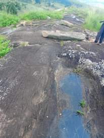 A picture of 17 acres of land for sale