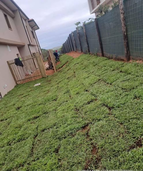 lawn