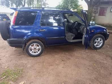 A picture of 0703704731