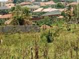 A picture of Land