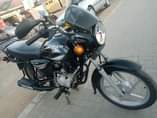 A picture of Boxer 125x
