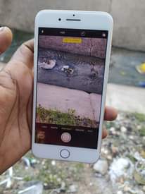 A picture of I phone 7 plus Imenyooka GB 32 kila kitu Kiko