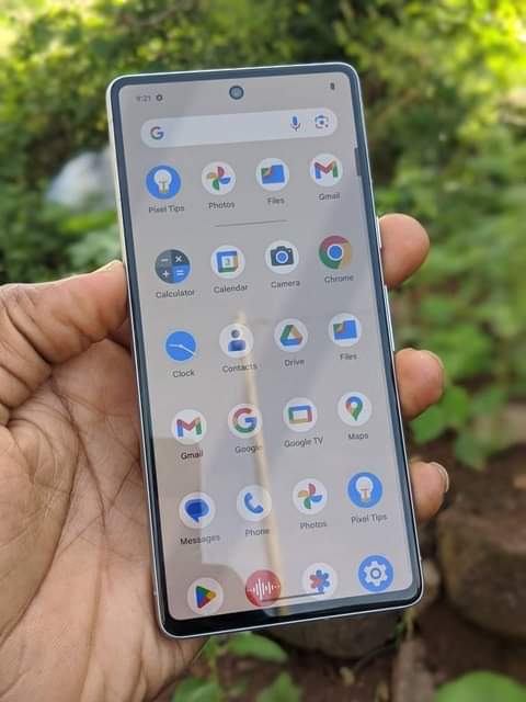 A picture of Pixel 7