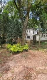 houses nakasero