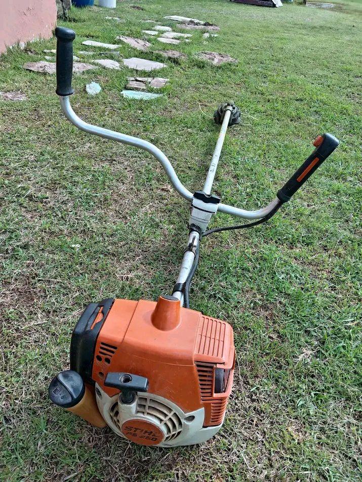lawn