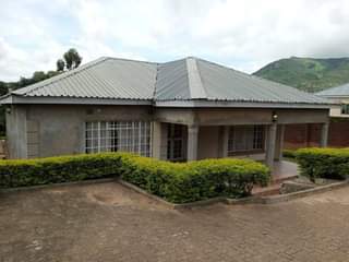 tiles