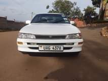 A picture of kikumi on sale 7 5million 0783138852 serious buyer only