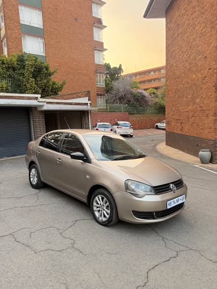 polo vivo