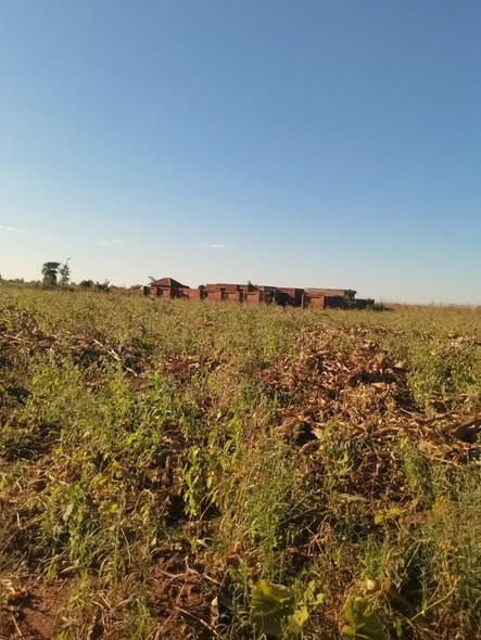 land