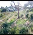 A picture of KIWANJA KINAUZWA