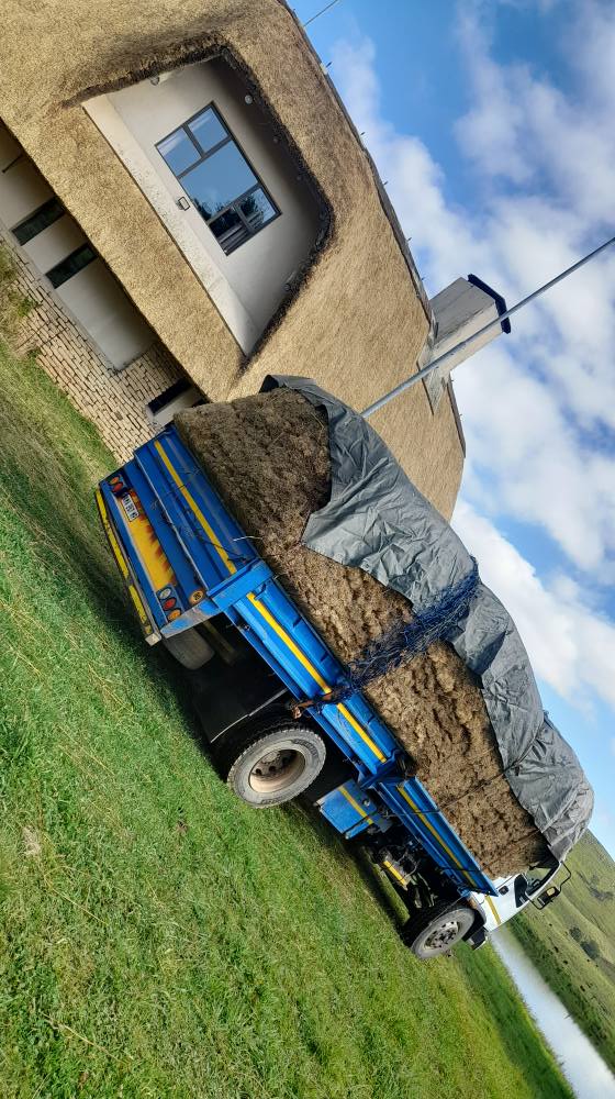 A picture of Thatching