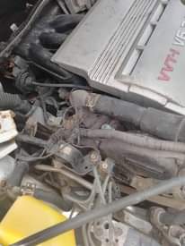 A picture of Toyota Highlander