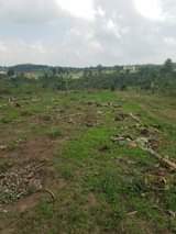 A picture of Land