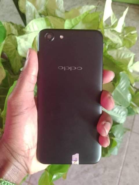 A picture of Oppo A83