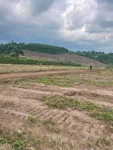 A picture of Wakiso Estate 50by100 with ready land title At 15m.