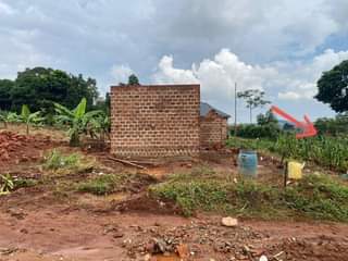 A picture of Plots of land