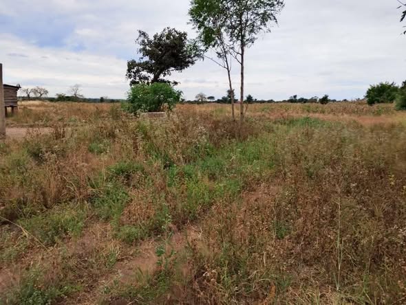 A picture of LAND FOR SALE SIZE 31 ACRES 265989849411