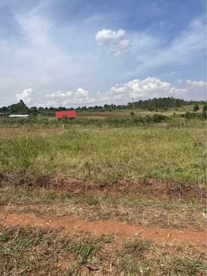 A picture of 50 100ft at Busiika Vumba selling 12 000 000 0704759507