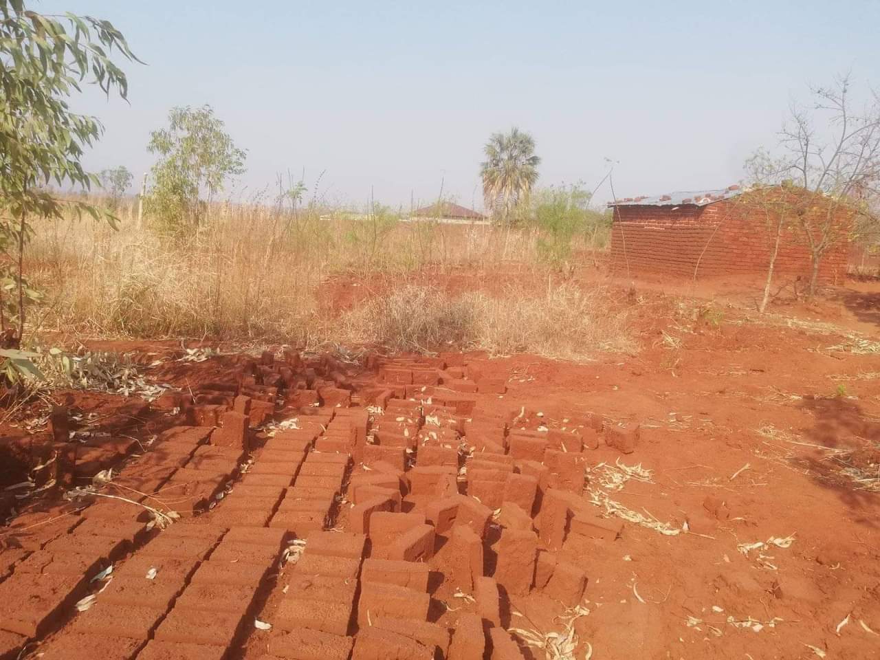 MALAWI -.