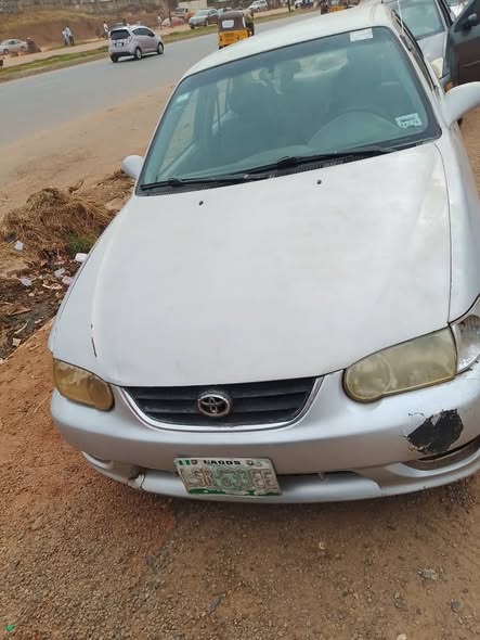 A picture of Corolla small but mighty